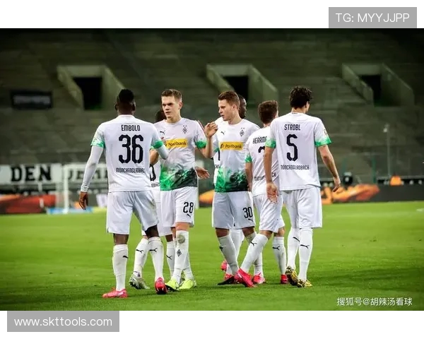 2019赛季德甲参赛球队名单与最终排名情况