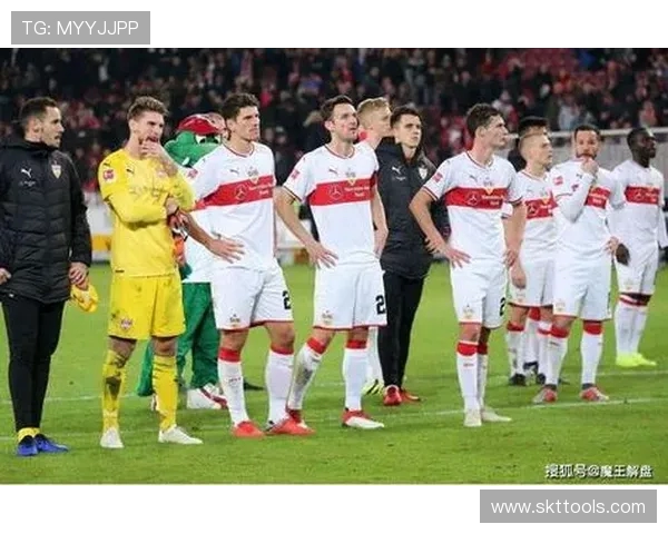 德甲俱乐部最具特色且可爱的球队名称文案创意大全