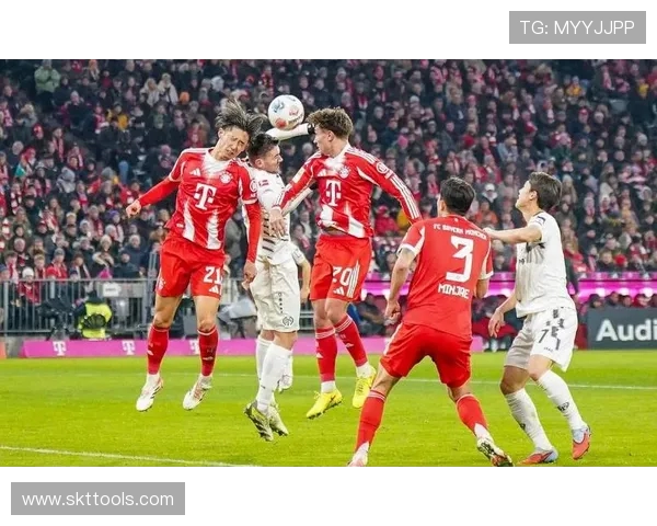 德甲目前有多少支球队参赛?最新完整数据揭晓