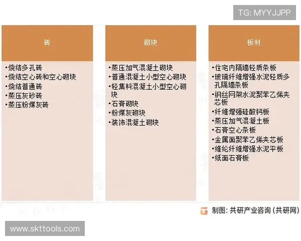 迪康塞普森与巴勒斯坦的历史对话与未来展望分析